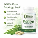 moringa-powder-capsules-with-rich-moring-3.jpg