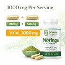 moringa-powder-capsules-800mg-of-pure-nu-5.jpg