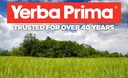 yerba-prima-moringa-180-count-veg-caps-4-3.jpg
