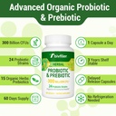 probiotics-for-women-men-300-billion-cfu-3.jpg