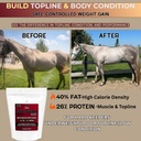 pennwoods-body-builder-4000-horse-weight-3.jpg