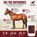 pennwoods-body-builder-4000-horse-weight-2.jpg