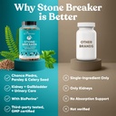chanca-piedra-stone-breaker-the-original-4.jpg