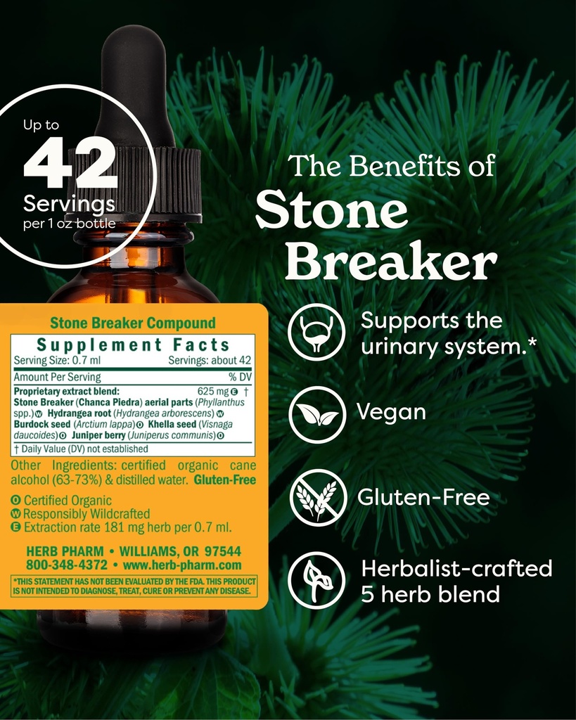 herb-pharm-stone-breaker-chanca-piedra-l-2.jpg