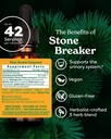 herb-pharm-stone-breaker-chanca-piedra-l-2.jpg