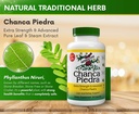 chanca-piedra-500-mg-60-capsules-stonebr-3.jpg