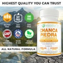 max-strength-chanca-piedra-hydrangea-dan-4.jpg