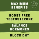 clean-machine-cell-block-80-natural-vega-4.jpg