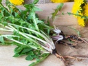 cedar-bear-kidney-bladder-blend-a-liquid-3.jpg