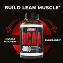 bcaa-4800-micronized-branched-chain-amin-3.jpg
