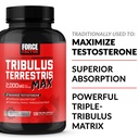 force-factor-tribulus-terrestris-max-for-2.jpg