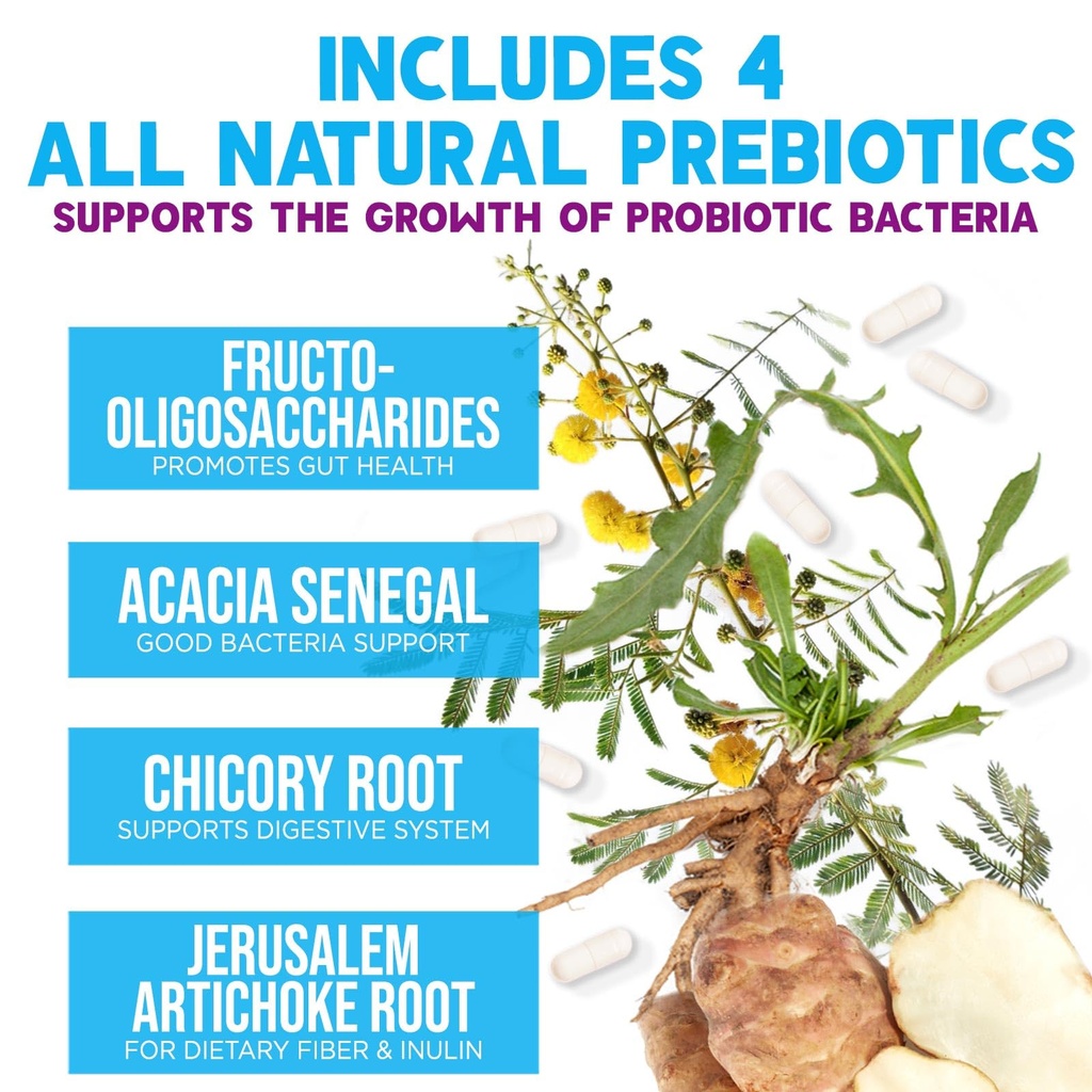 probiotics-100-billion-cfu-per-serving-1-6.jpg