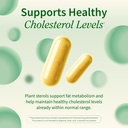 snap-supplements-cholesterol-health-arti-4.jpg