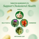 snap-supplements-cholesterol-health-arti-3.jpg