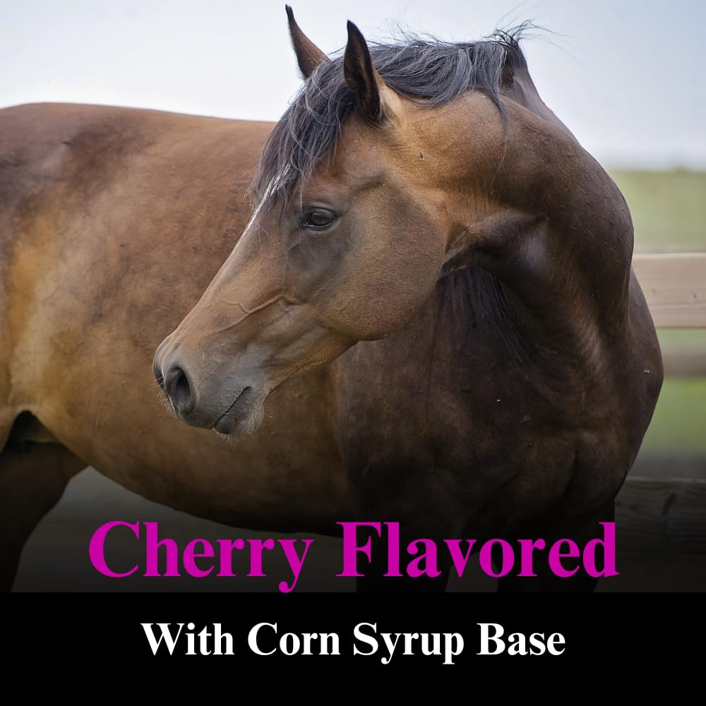 su-per-appetite-supplement-for-horses-eq-4.jpg