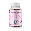 hyland-s-naturals-kids-organic-elderberr-2.jpg
