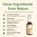 kids-propolis-spray-usda-organic-certifi-5.jpg