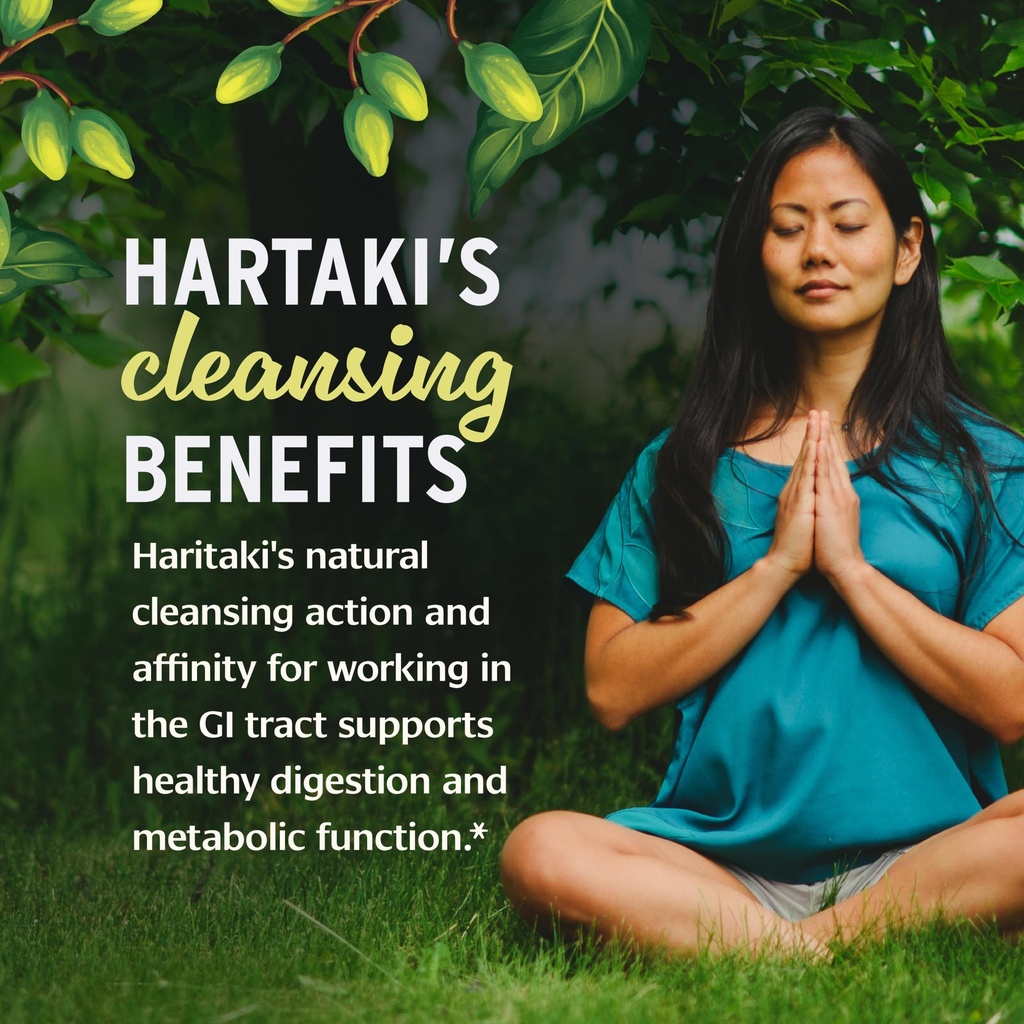 banyan-botanicals-organic-haritaki-powde-3.jpg