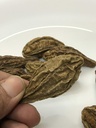 harad-haritaki-whole-terminalia-chebula--6.jpg