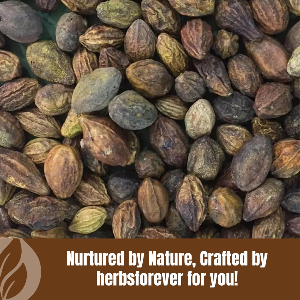 herbsforever-haritaki-terminalia-chebula-6.jpg