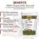 organic-way-haritaki-whole-chebulic-myro-4.jpg