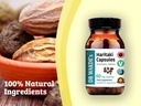 dr-wakde-s-haritaki-capsules-terminalia--6.jpg