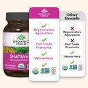 organic-india-shatavari-herbal-supplemen-2.jpg