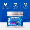 evogen-carnigen-premium-carnitine-powder-2.jpg