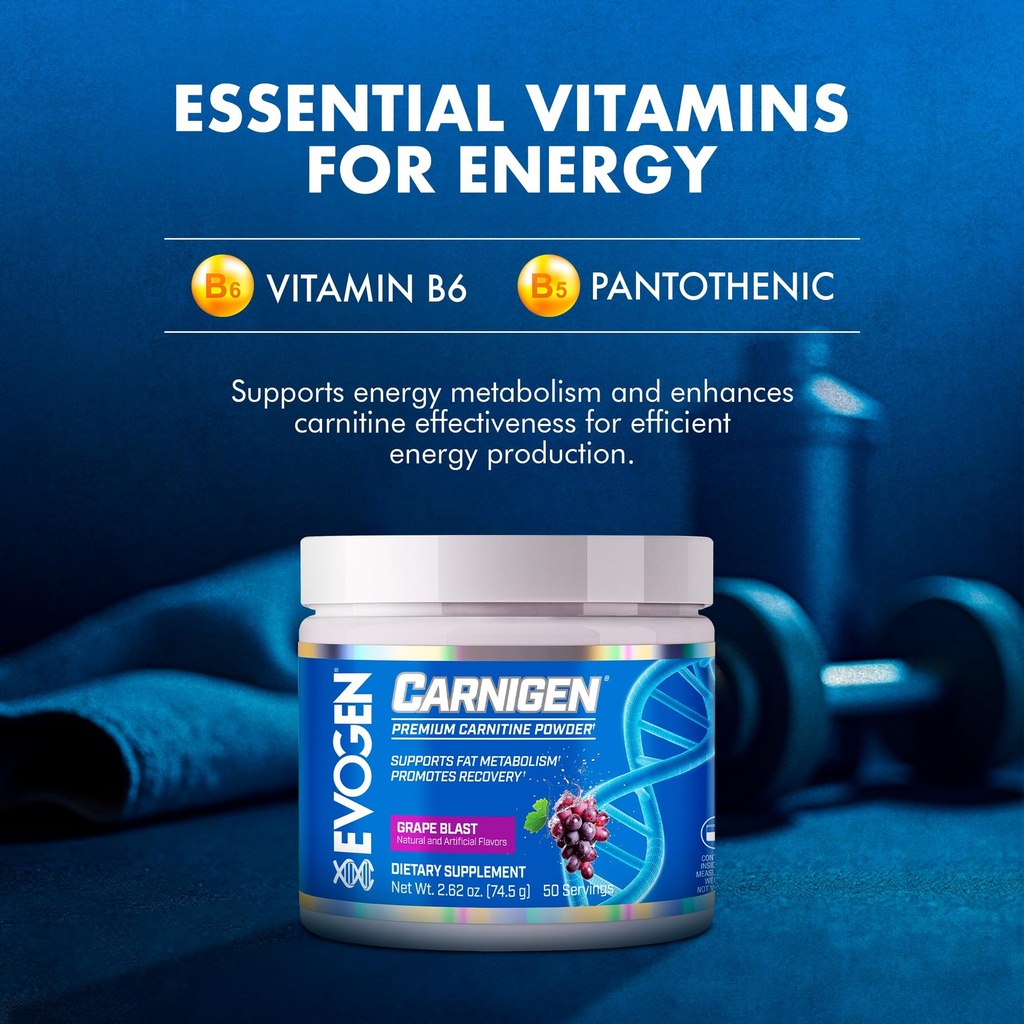 evogen-carnigen-premium-carnitine-powder-5.jpg