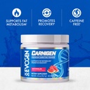 evogen-carnigen-premium-carnitine-powder-2.jpg
