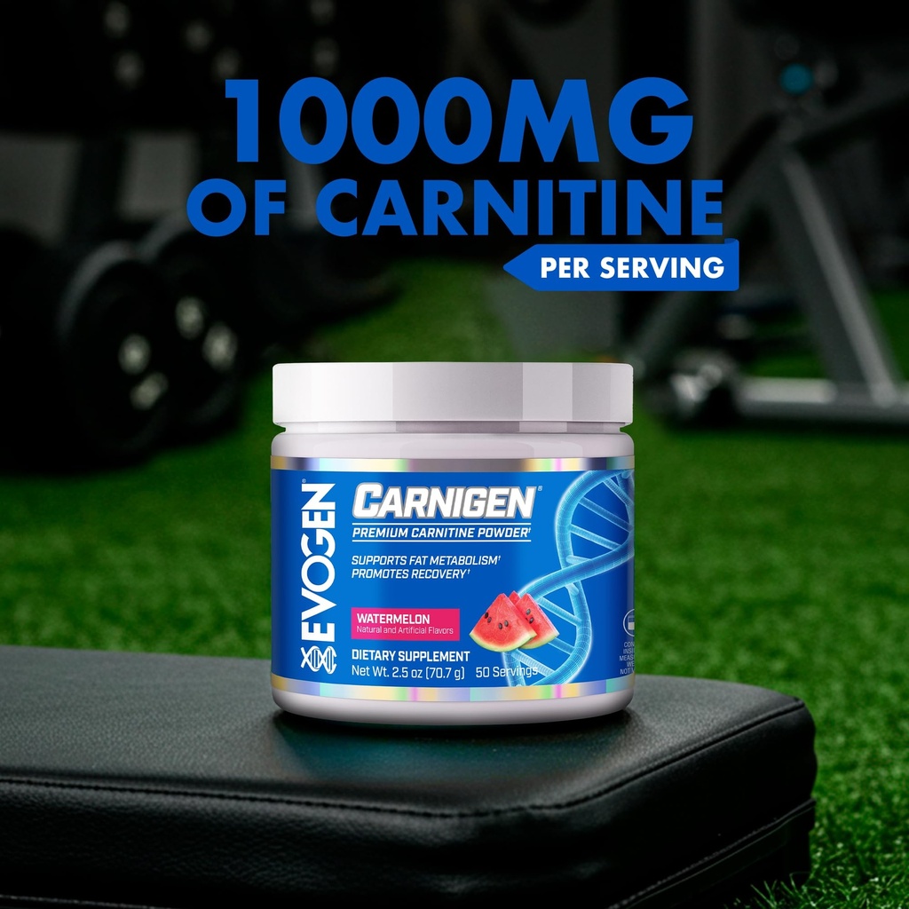 evogen-carnigen-premium-carnitine-powder-4.jpg