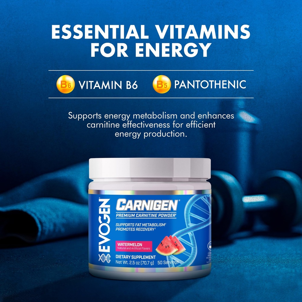 evogen-carnigen-premium-carnitine-powder-5.jpg