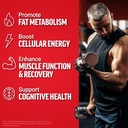 force-factor-l-carnitine-3000-ultimate-l-2.jpg