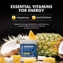 evogen-carnigen-premium-carnitine-powder-5.jpg
