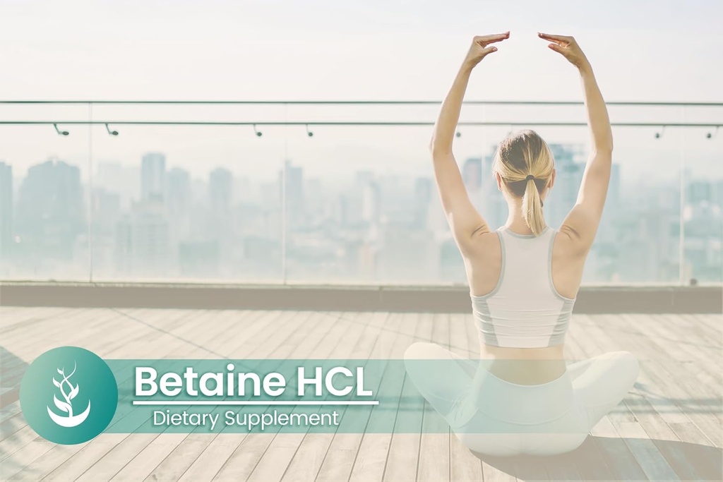 pure-original-ingredients-betaine-hcl-10-5.jpg