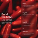 timeline-mitopure-urolithin-a-supplement-4.jpg