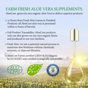 aloecure-aloe-vera-capsules-made-with-or-6.jpg