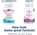 nordic-naturals-prenatal-dha-unflavored--3.jpg