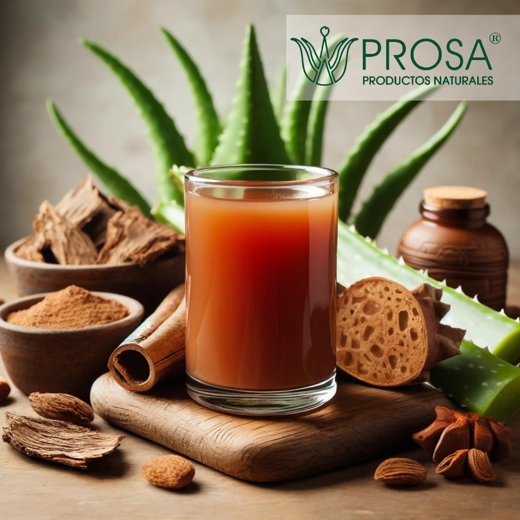 yerbero-prosa-aloe-vera-nopal-cactus-and-4.jpg