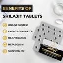 30000-mg-shilajit-tablets-100-shilajit-p-4.jpg