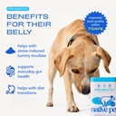 native-pet-probiotic-power-duo-colostrum-3.jpg