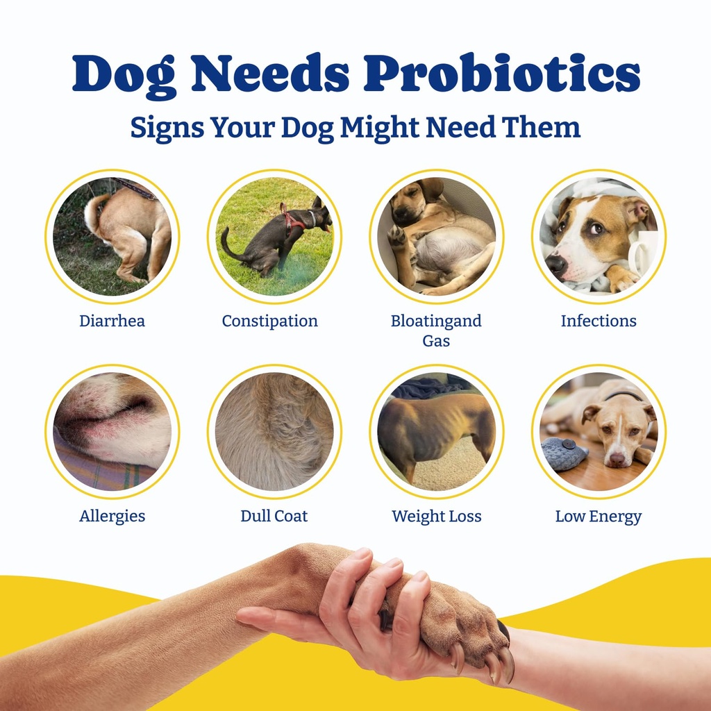 probiotics-for-dogs-dog-probiotics-for-d-5.jpg