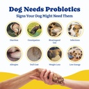 probiotics-for-dogs-dog-probiotics-for-d-5.jpg