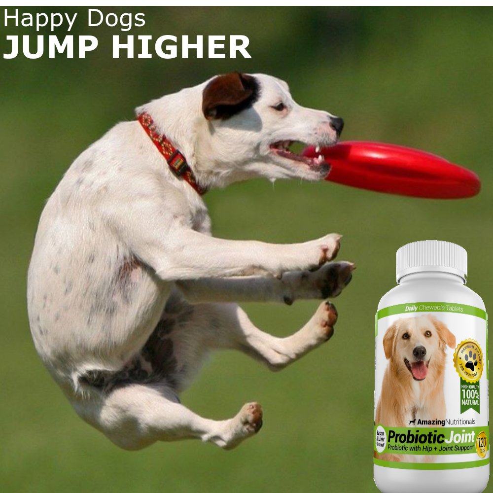 amazing-probiotics-for-dogs-eliminates-d-3.jpg