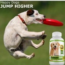 amazing-probiotics-for-dogs-eliminates-d-3.jpg