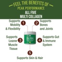peak-performance-all-5-multi-collagen-pr-2.jpg