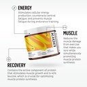 kion-aminos-essential-amino-acids-powder-3.jpg