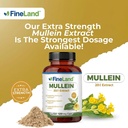 fineland-mullein-extract-lung-cleanse-re-6.jpg