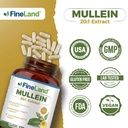 fineland-mullein-extract-lung-cleanse-re-5.jpg