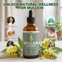 mullein-drops-for-lungs-mullein-leaf-ext-4.jpg